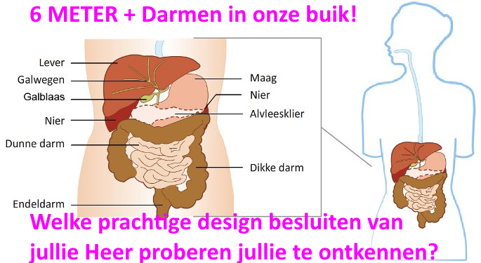 darmen moslimantwoordnl godsbewijs bestaan van Allah (God)